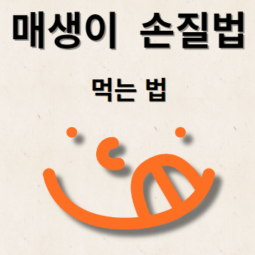 매생이 손질법