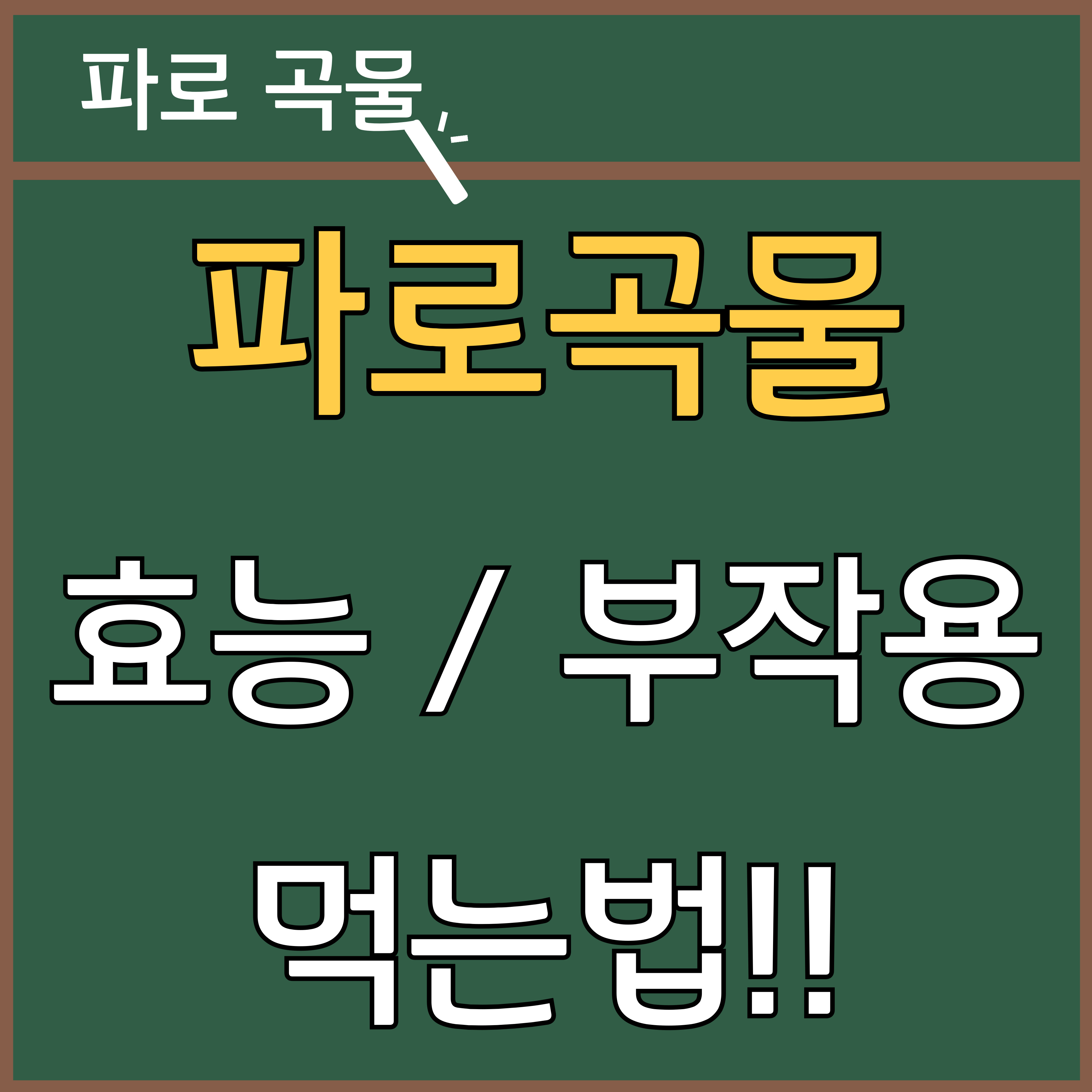 파로 곡물 효능 및 부작용과 먹는 법 썸네일