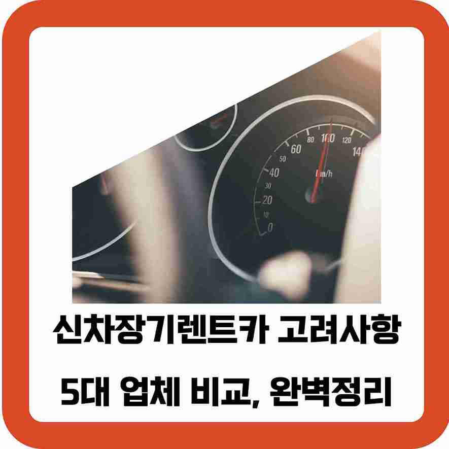 신차장기렌트카-선택-고려사항-5대-업체-비교