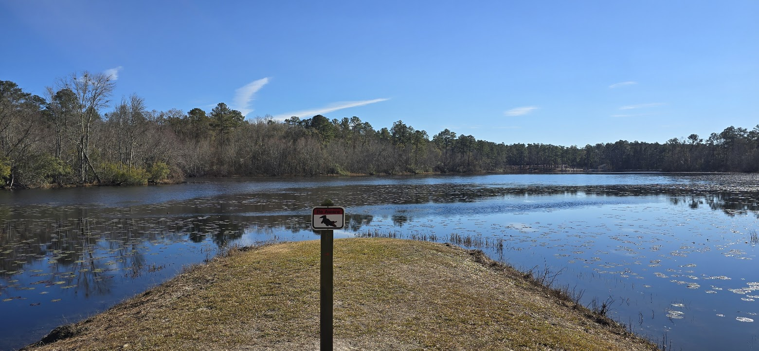 매그놀리아 스피링스 주립공원