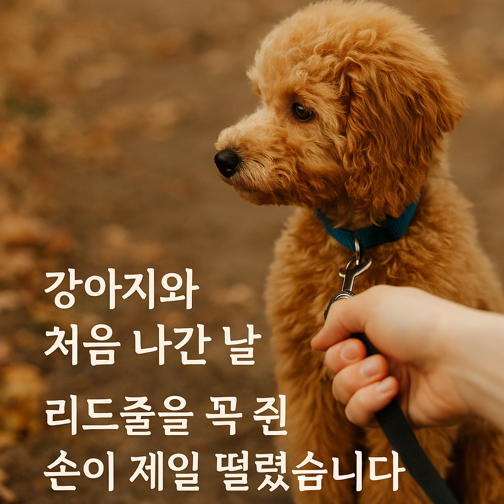 강아지와 처음 산책간 날의 모습