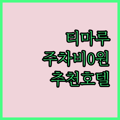 뉴질랜드 티마루 여행 주차비 아끼는 ..