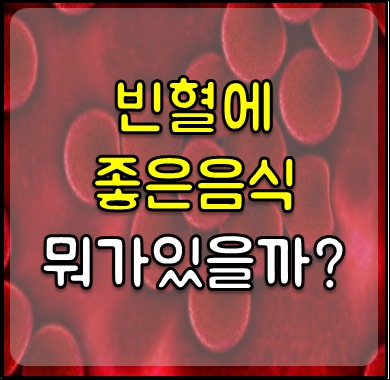 빈혈에 좋은 음식-1