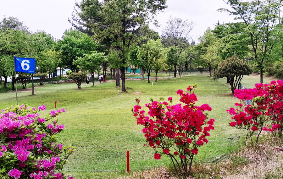 완주 둔산파크골프장. 전북 완주군 둔산3로 94 둔산공원 내
