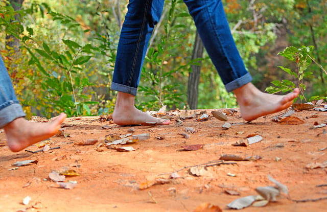 맨발걷기,어싱효과-효능