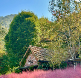 가을여행지 춘천 제이드 가든 입장료