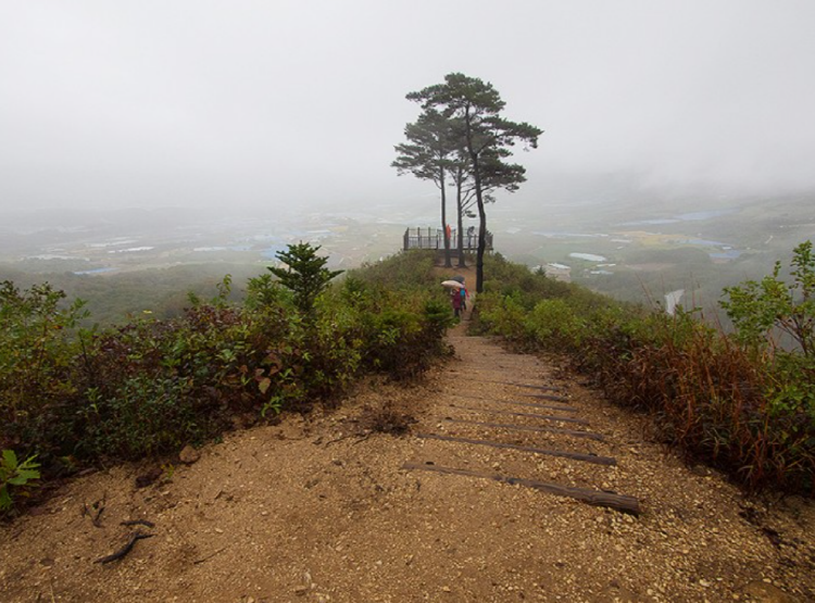DMZ 펀치볼 둘레길