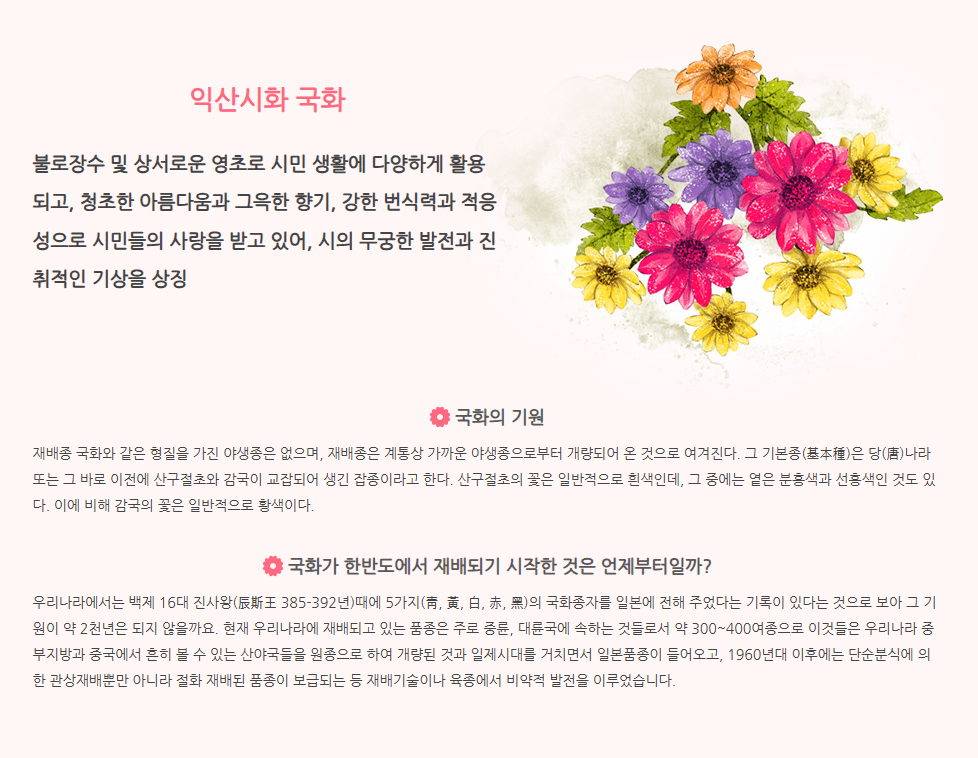 익산 천만송이 국화축제