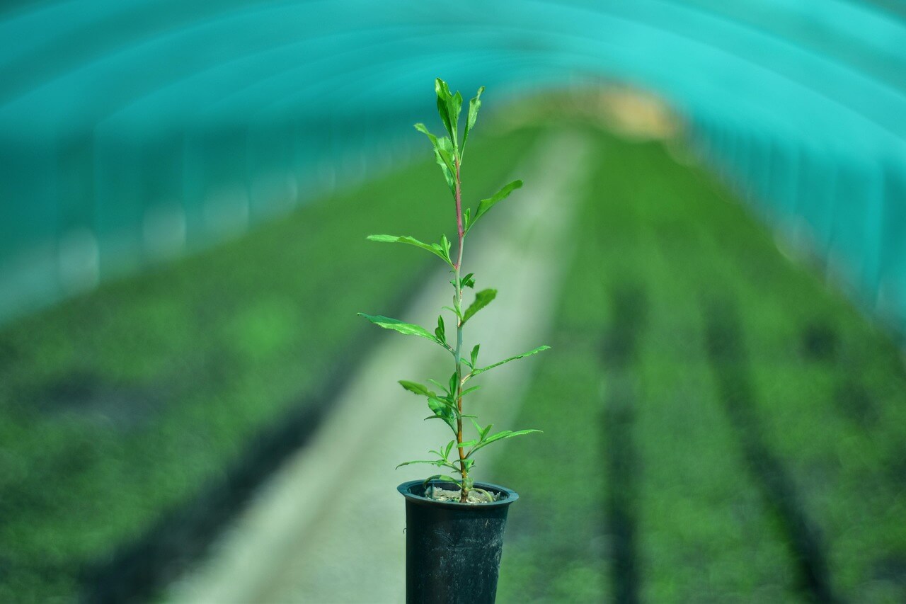 제로웨이스트 계절별 가드닝 순환시스템 만들기