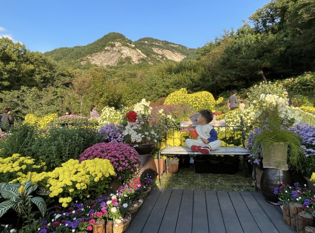 노원 불암산 나비정원