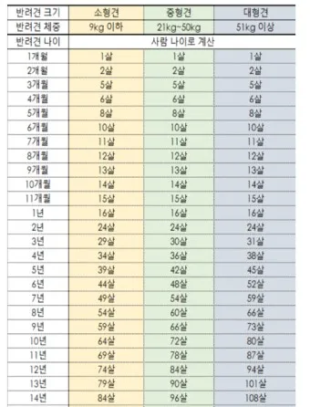 강아지 나이 환산법 가이드 실제 나이 확인 방법_8