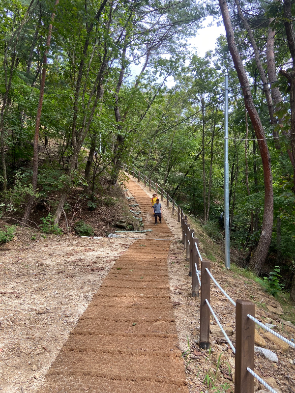 가평 운악산 출렁다리 국내여행