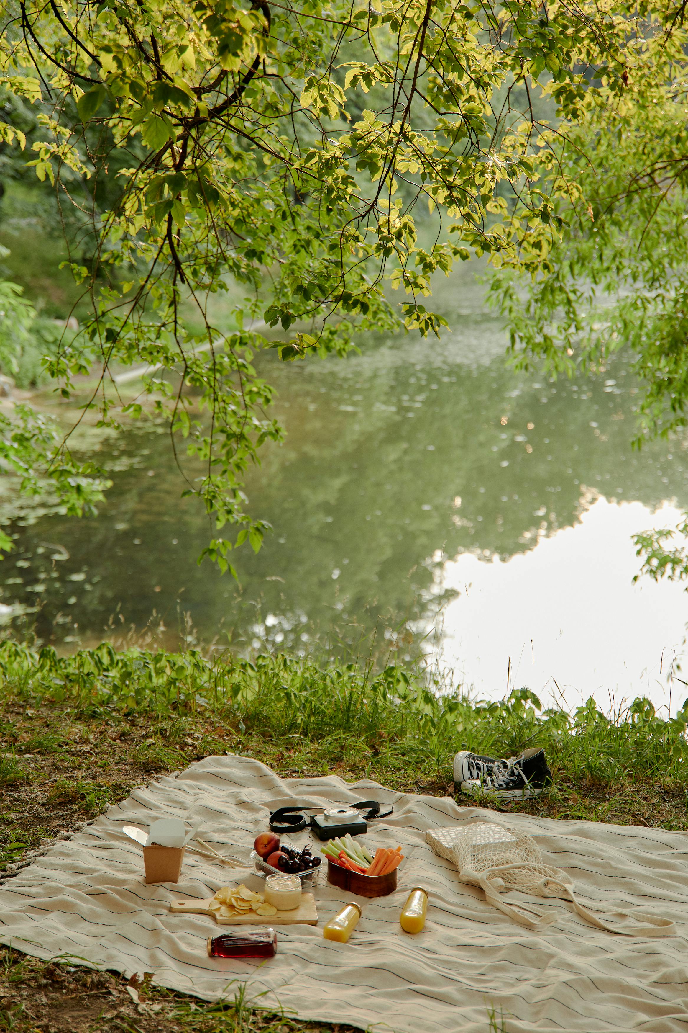 냉장고 고무패킹 곰팡이 제거