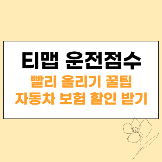 티맵 운전점수 섬네일