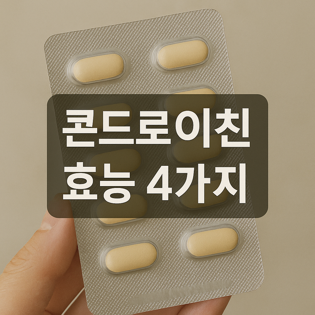 콘드로이친 효능 4가지