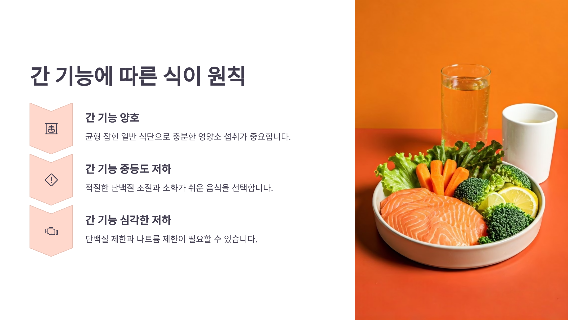 간암환자 기능에 따른 식이요법