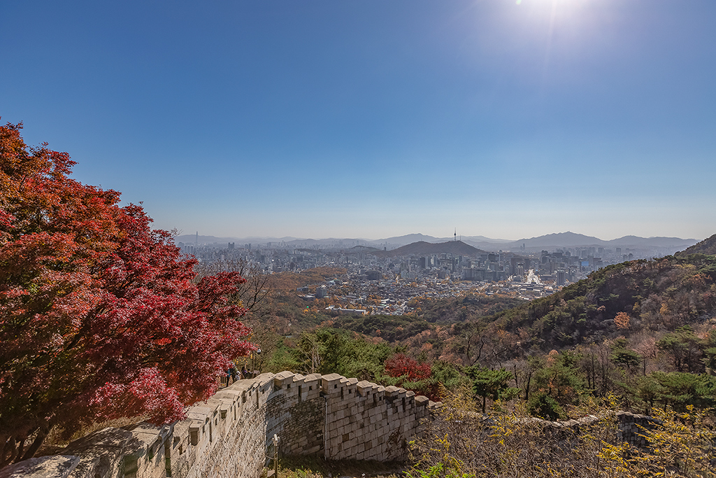 한양도성길
가을풍경
가을단풍
백악구간
서울여행
서울풍경
서울성곽길
청운대
말바위
숙정문
