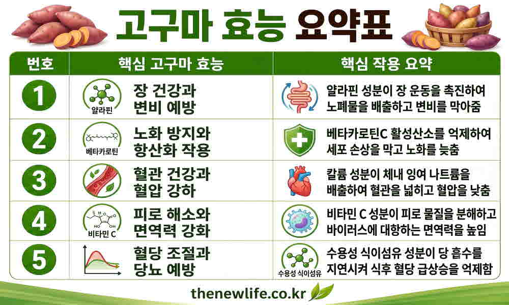 고구마 효능 요약표