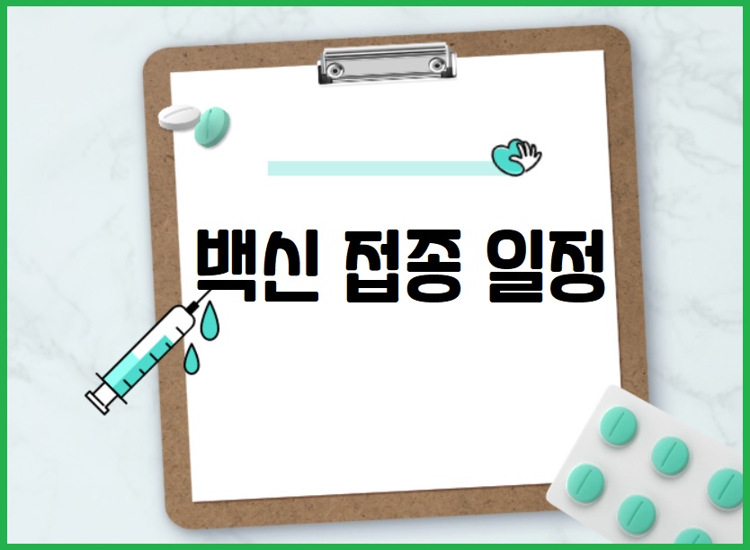 백신 접종 일정