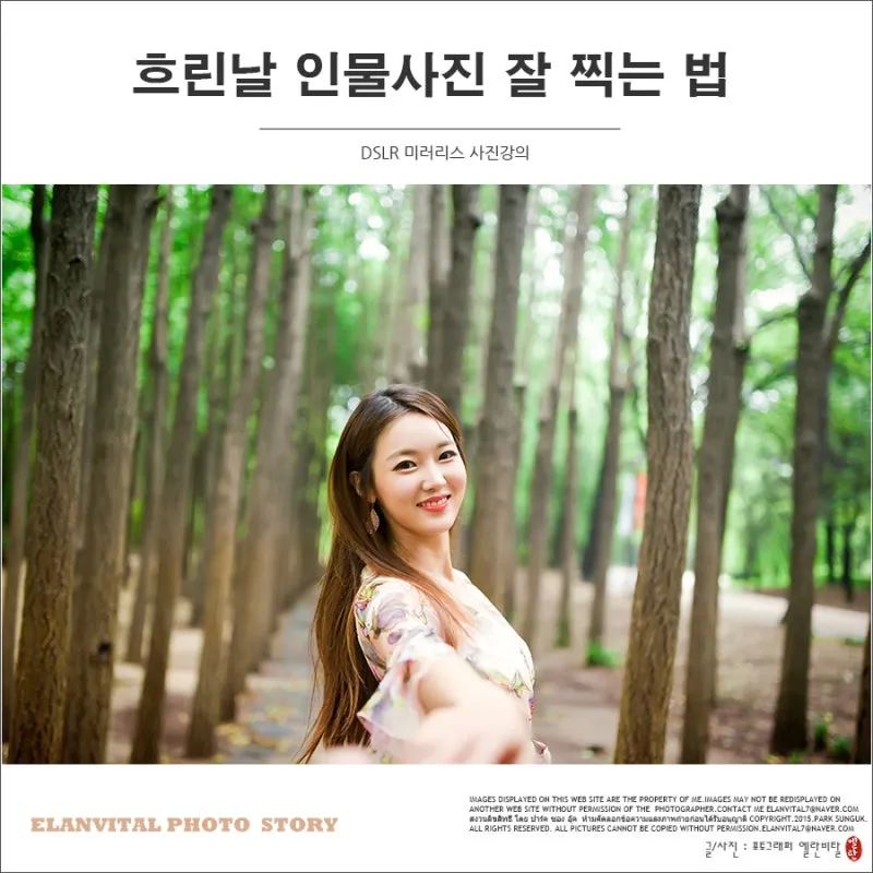 미러리스 카메라 인물사진 조리개 셔터속도 배경흐림 이해하기_5