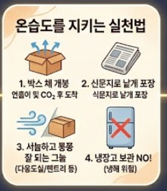 고구마 보관하는법