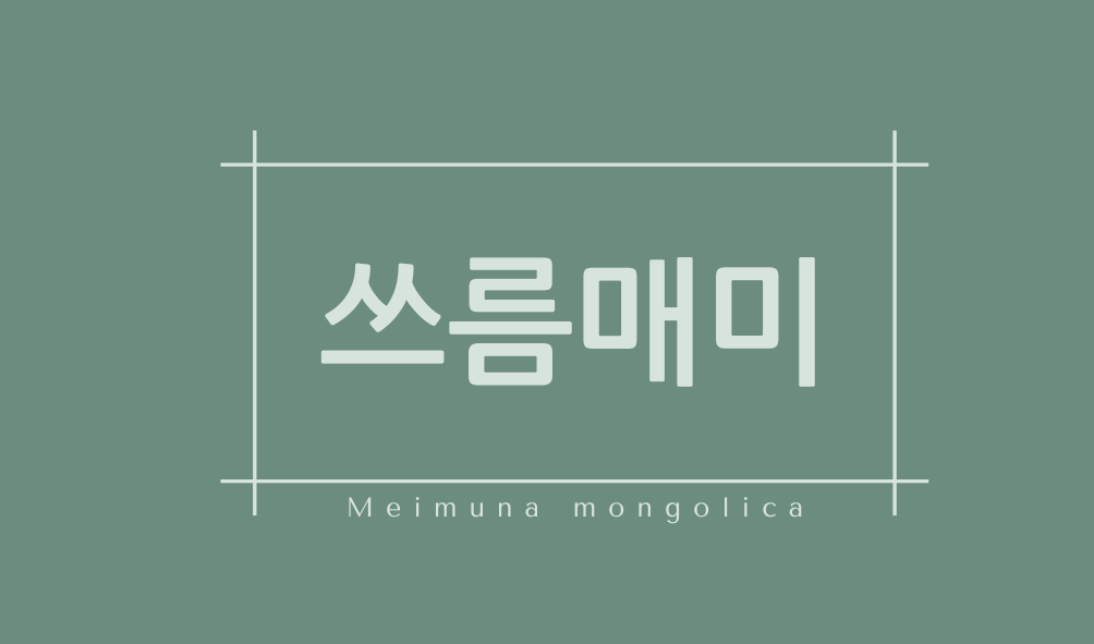 쓰름매미(Meimuna mongolica)