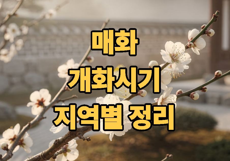 매화 개화시기 미리보기