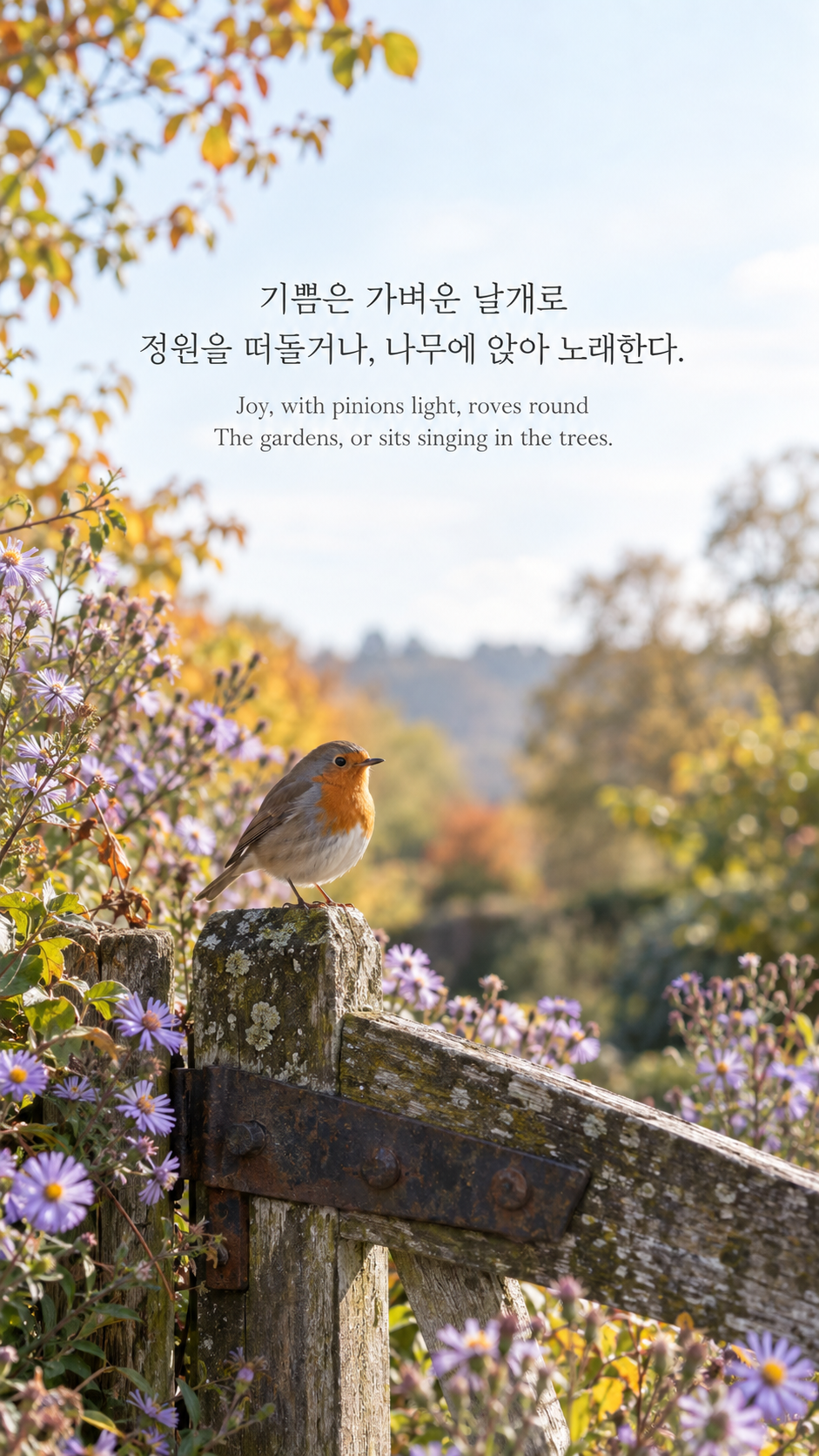 윌리엄 블레이크의 가볍게 찾아오는 기쁨에 관한 가을 글귀 &mdash; 한글과 영어 원문을 담은 디지털 카메라 사진