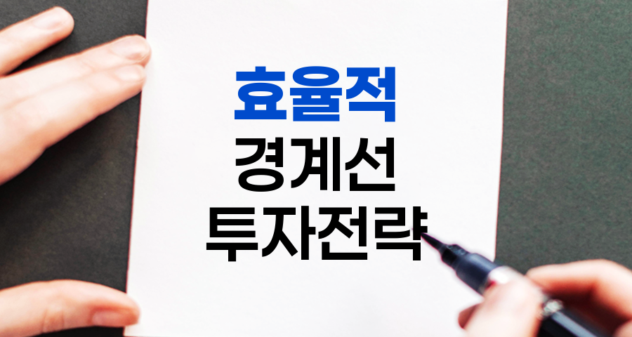 효율적 경계선, 투자 포트폴리오의 최적화 전략