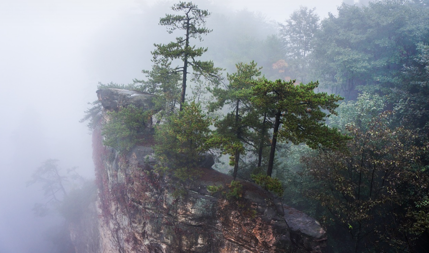 중국 장가계 사진