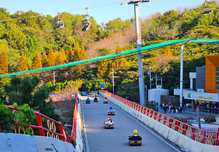 유월드 루지 테마파크1