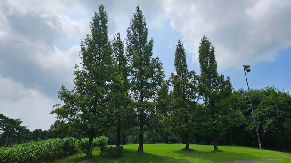 골프장 경험담 이천 더반cc 가성비 좋은 퍼블릭 + 연습 라운드 또는 입문자 연습장 느낌으로 활용 가능