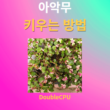 아악무 키우기 물주기