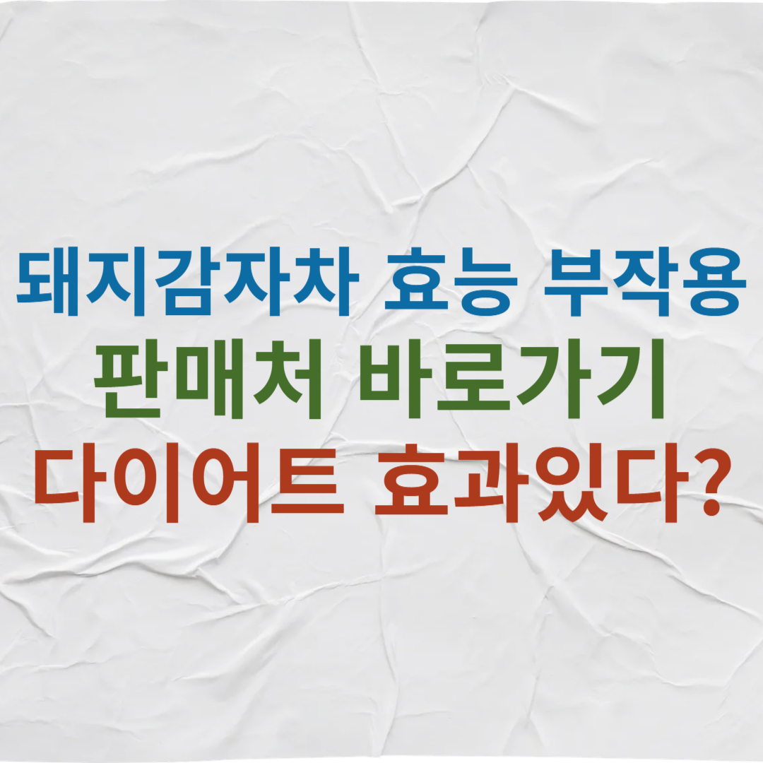 돼지감자차 효능 부작용 판매처