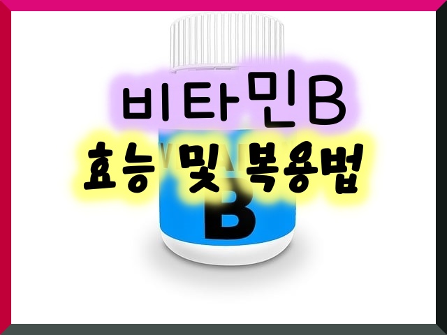 비타민B