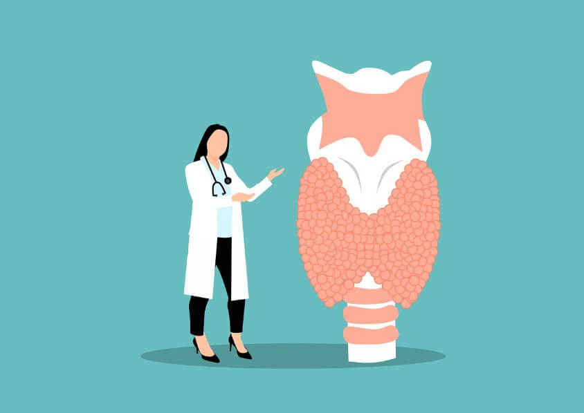 여성 호르몬의 변화를 설명하는 여의사