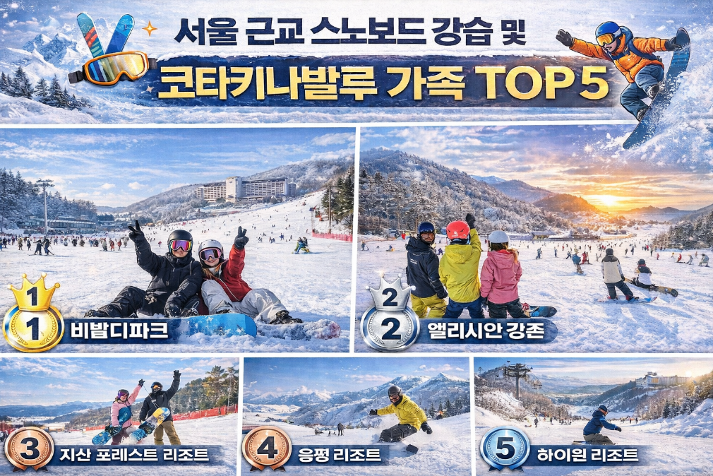 서울 근교 스노보드 강습지 TOP 5 완벽 정리