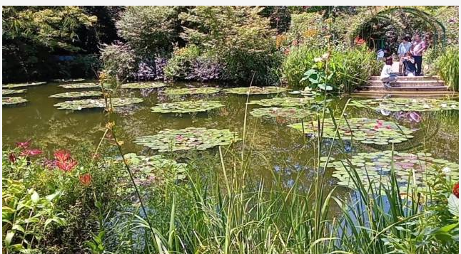 기후현의 모네의 연못