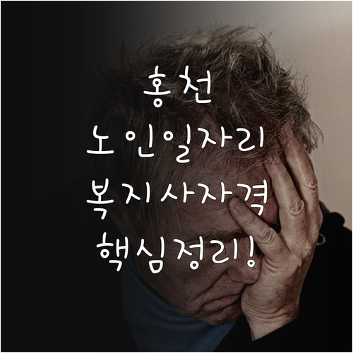 홍천군 노인일자리 유형별 특징 및 사..