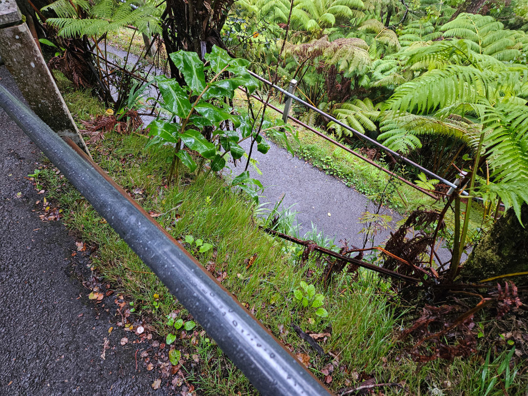 서스톤 용암 동굴 가는길
