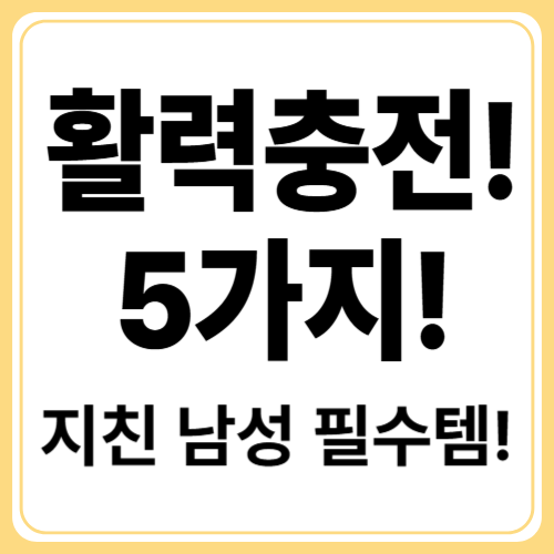 남성 피로 회복 영양제 추천! 지친 하루를 끝내는 5가지 성분