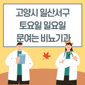 고양시 일산서구 토요일 일요일 비뇨기과 진료 문여는 병원 리스트
