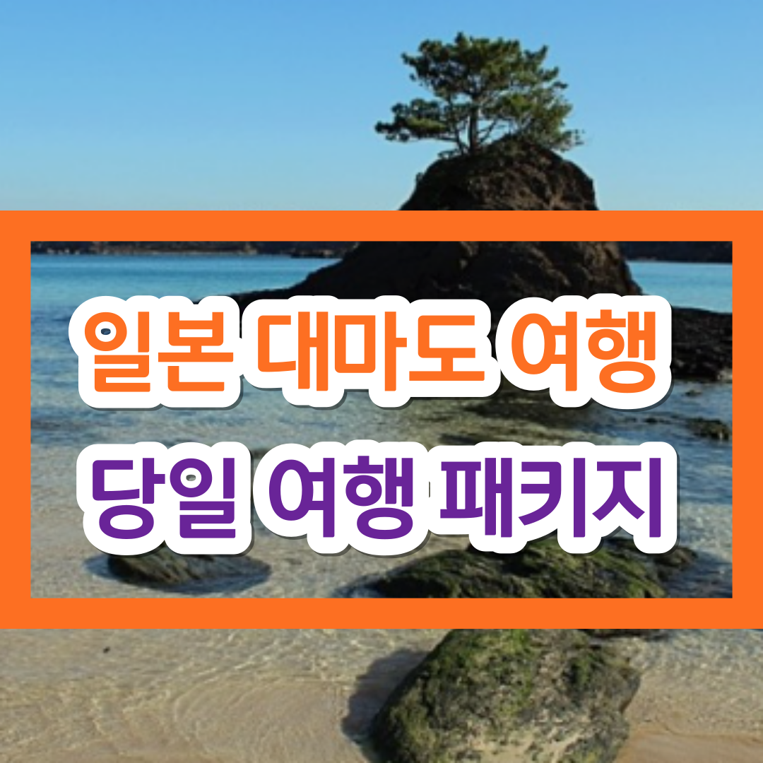 일본 대마도 패키지 당일 여행 특가 이벤트!