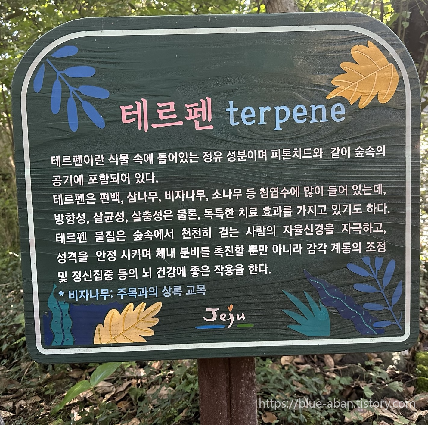 테르펜 설명