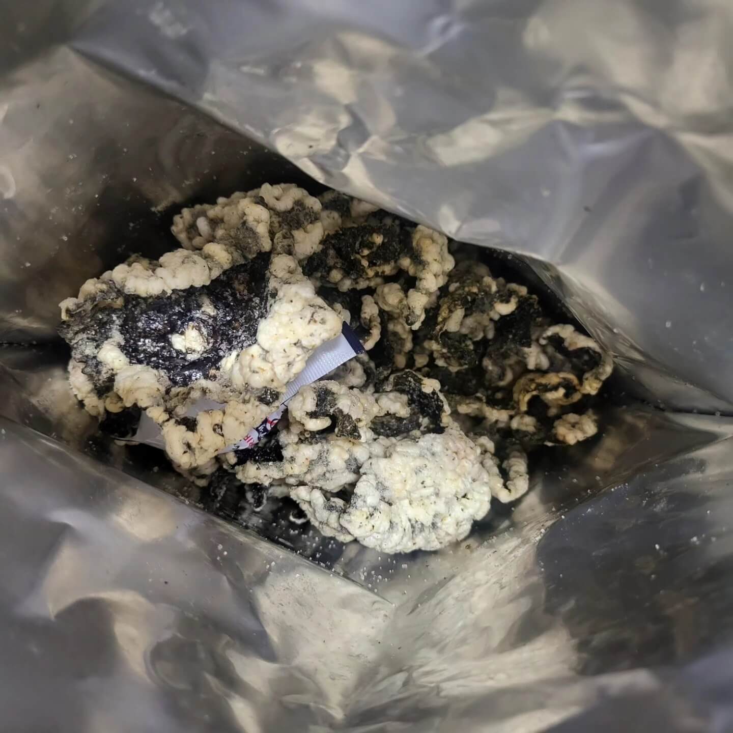 코스트코 예맛 찹살 김부각