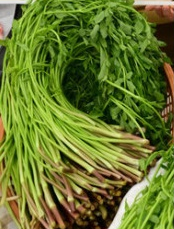 봄 미나리와 궁합이 좋은 음식과 초간단 조리법