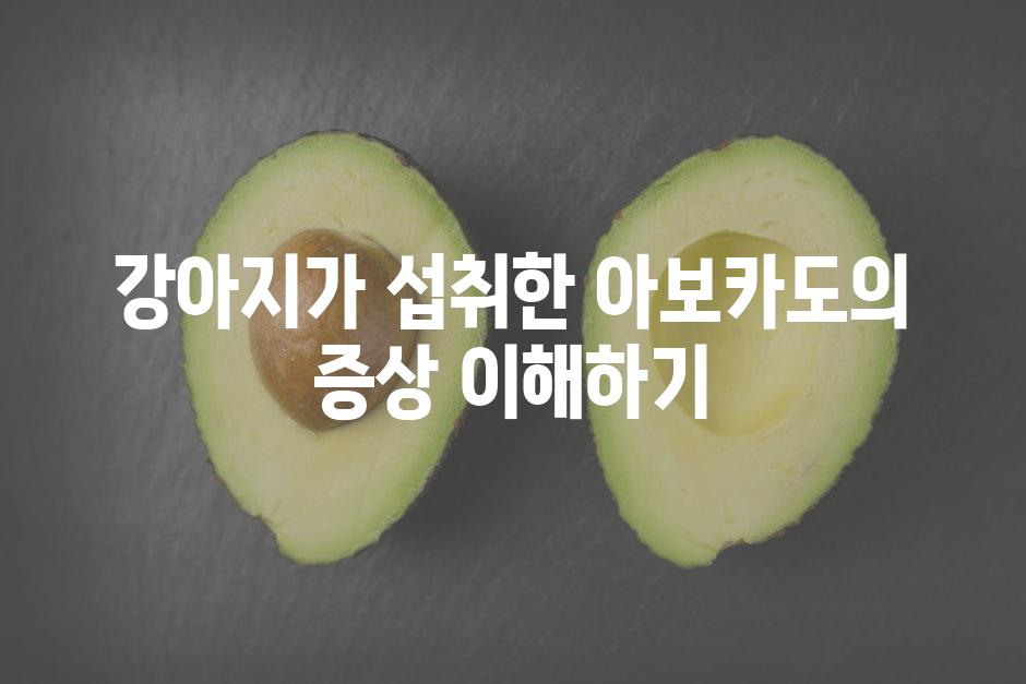 강아지가 섭취한 아보카도의 증상 이해하기