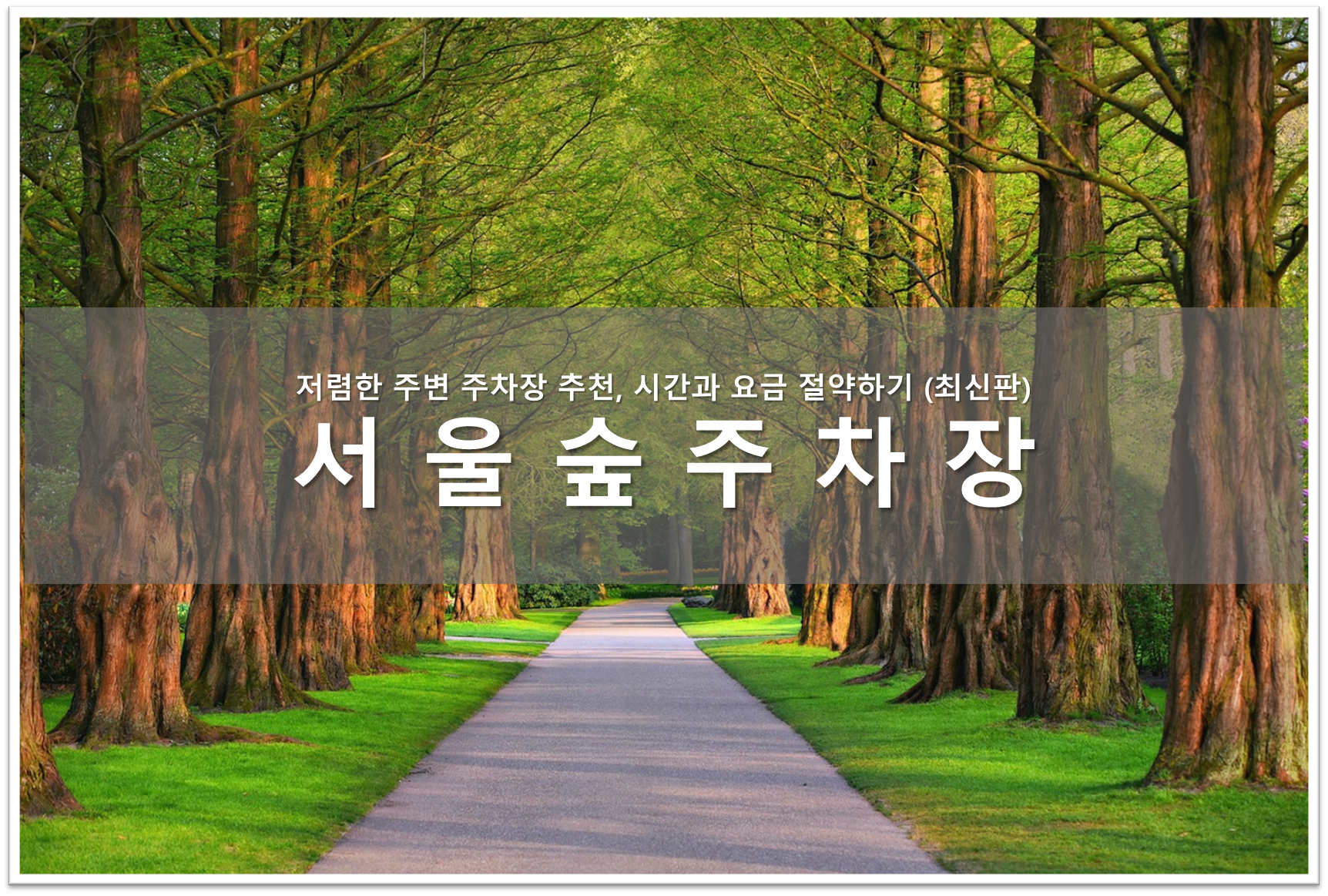 서울숲 주차장