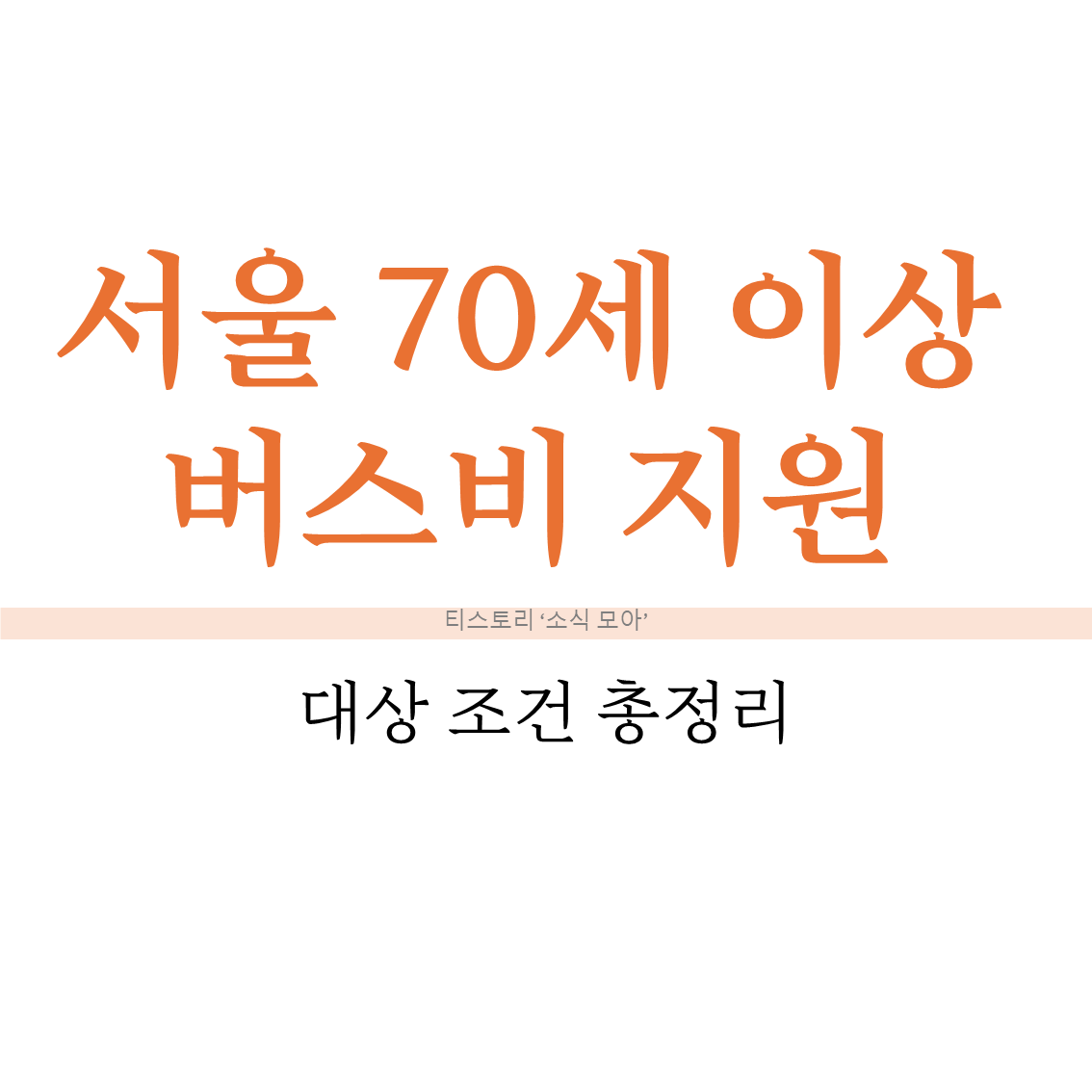 서울 70세 이상 버스비 지원 대상 조건 총정리 (2026년 6월 조례 기준)