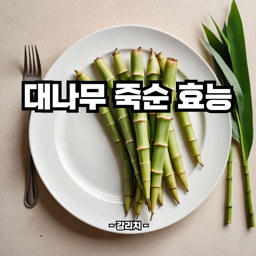 대나무죽순 효능